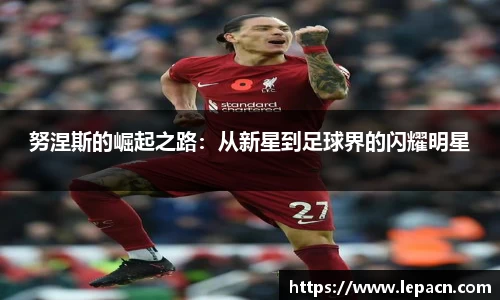 努涅斯的崛起之路：从新星到足球界的闪耀明星